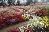 Monet's Flower Garden Fine Art Print