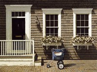 Mail Delivery Fine Art Print