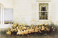 In Bloom Fine Art Print