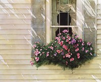 Shutter Blue Fine Art Print