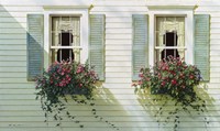 Windows With Flowerboxes Fine Art Print