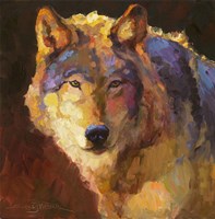 Amadeus Wolf Fine Art Print