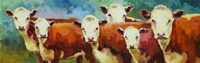 Cattle Call Fine Art Print