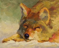 Chillin Coyote Fine Art Print