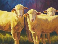 Don't Hate Us Because We're Beautiful Fine Art Print