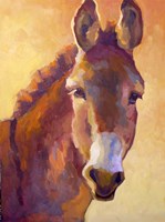 Fernando Fine Art Print