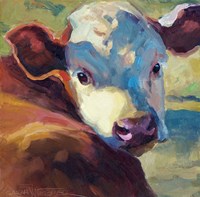 Hereford Honey Fine Art Print