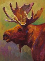 Moose Fine Art Print