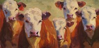Party of Five Herefords Fine Art Print
