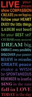 Live Your Dream 1 Fine Art Print