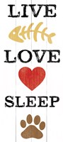 Live Love Sleep Fine Art Print