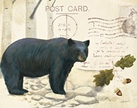 Northern Wild IV Fine Art Print