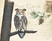 Northern Wild V Fine Art Print