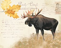 Northern Wild III Fine Art Print