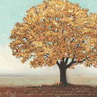 Gold Reflections I Fine Art Print