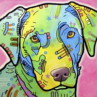 Labrador Fine Art Print
