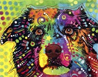 Straight Aussie Fine Art Print