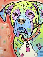 The Boxer Fine Art Print