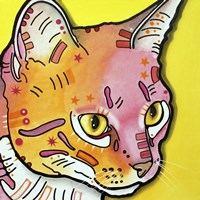 Watching Rain Fine Art Print