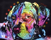 Young Mastiff Fine Art Print