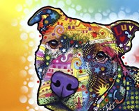 Contemplative Pit Fine Art Print