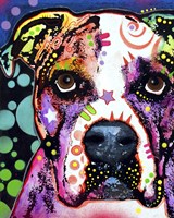 American Bulldog 1 Fine Art Print