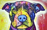 Love A Bull This Years Love 2013 Part 1 Fine Art Print