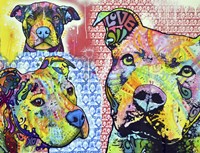 Thoughtful Pit Bull This Years Love 2013 Part 3 Fine Art Print