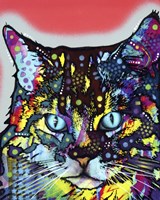 Maine Coon Fine Art Print