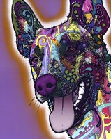 Malinois Fine Art Print