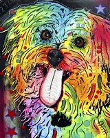 Shih Tzu Fine Art Print