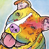 Skittles Fine Art Print