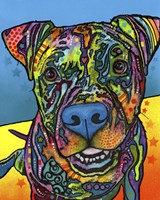 Maccabee Fine Art Print