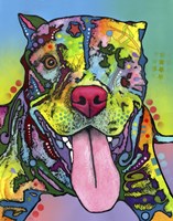 Rooster Fine Art Print