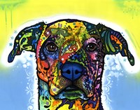 Fiesta Fine Art Print