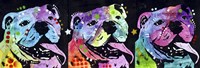 3 Bulldogs Fine Art Print