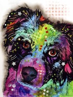 Aussie Fine Art Print