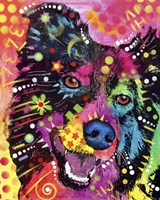 Border Collie 2 Fine Art Print