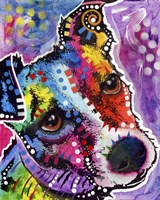 Dreamy Jack Fine Art Print