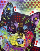 Shiba Inu Fine Art Print