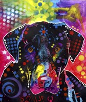 The Labrador Fine Art Print