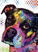 Young Boxer Fine Art Print