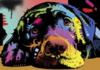 Lying Lab Fine Art Print