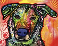 Crystal Fine Art Print