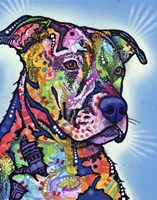 Deacon Fine Art Print