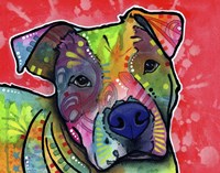 Julius Fine Art Print