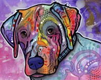 Petunia Fine Art Print