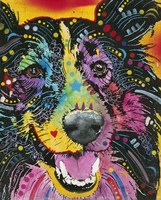 Smiling Collie Fine Art Print