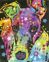 Curious Greyhound Fine Art Print