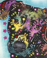 Super Star Dog Fine Art Print